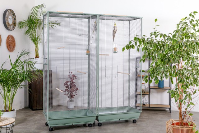 Pajareras conectables - Neolife-Connect