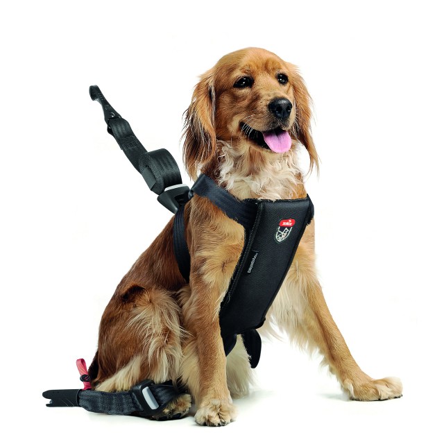 Arnés de seguridad para perros