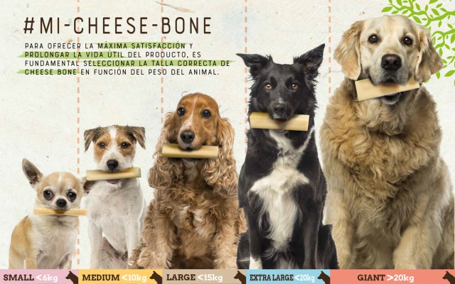 Tamaños Cheese bone