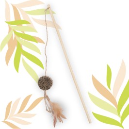 ETHI'CAT cartón disco