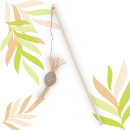 ETHI'CAT cartón pelota