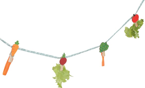 NEOLIFE RABBIT TREATS CUERDA