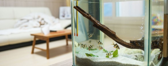 Los beneficios del agua