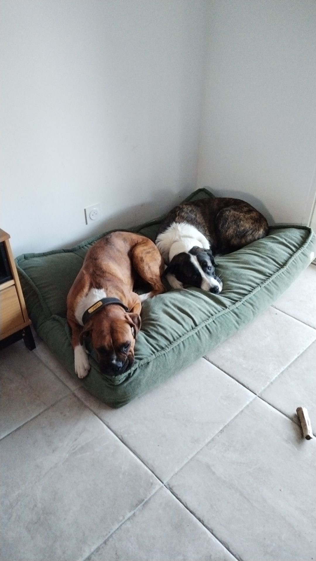 Foto de la comunidad número 280