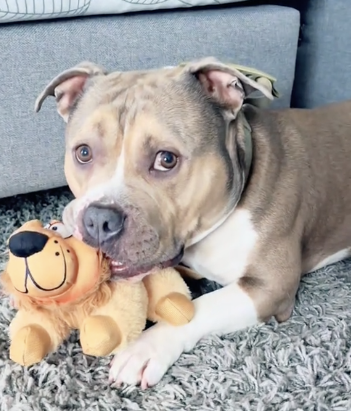 Foto de la comunidad número 287