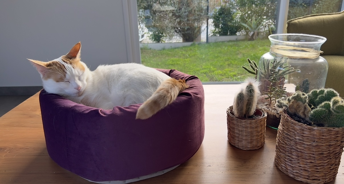 Foto de la comunidad número 290