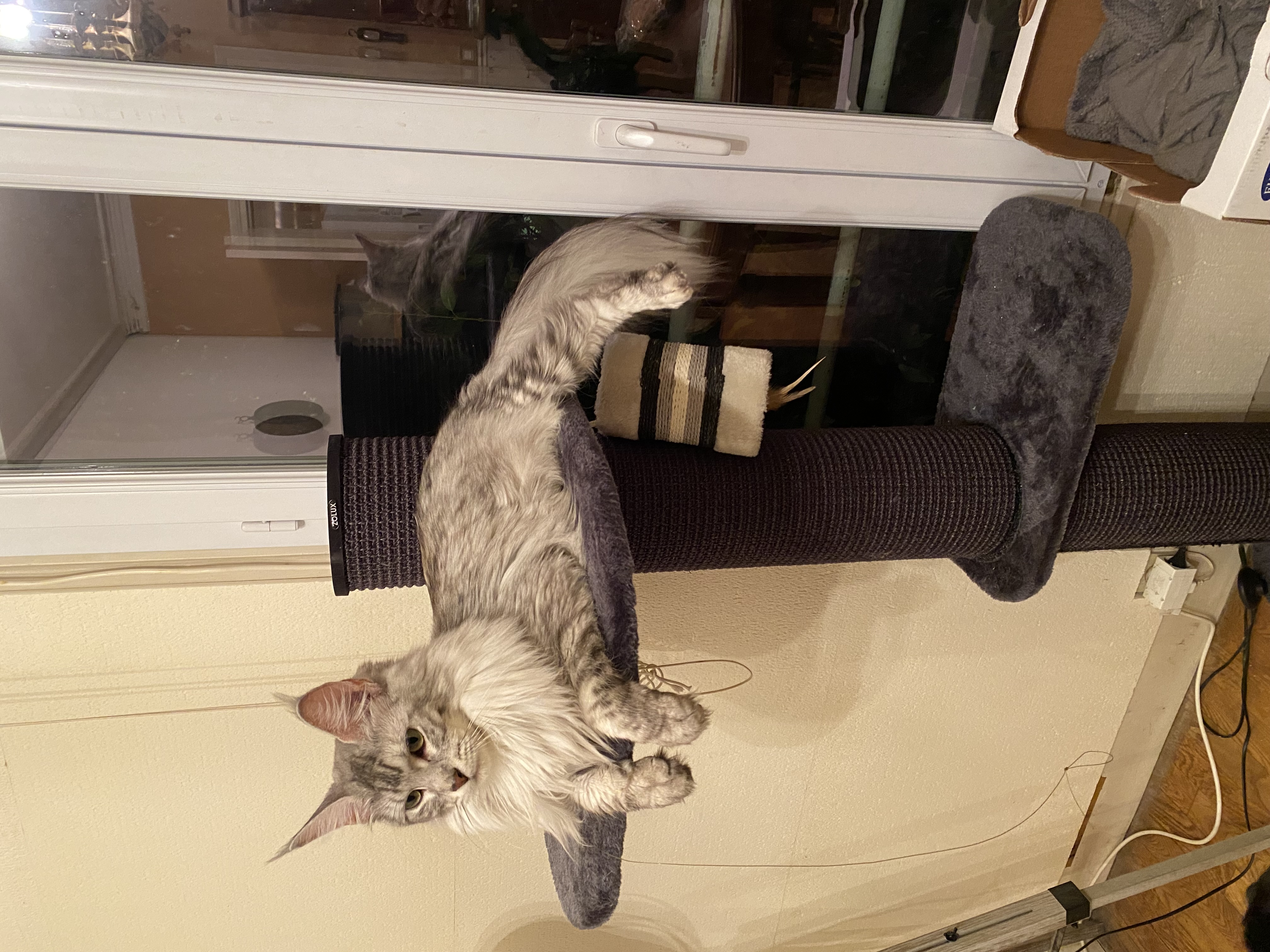 Foto de la comunidad número 293