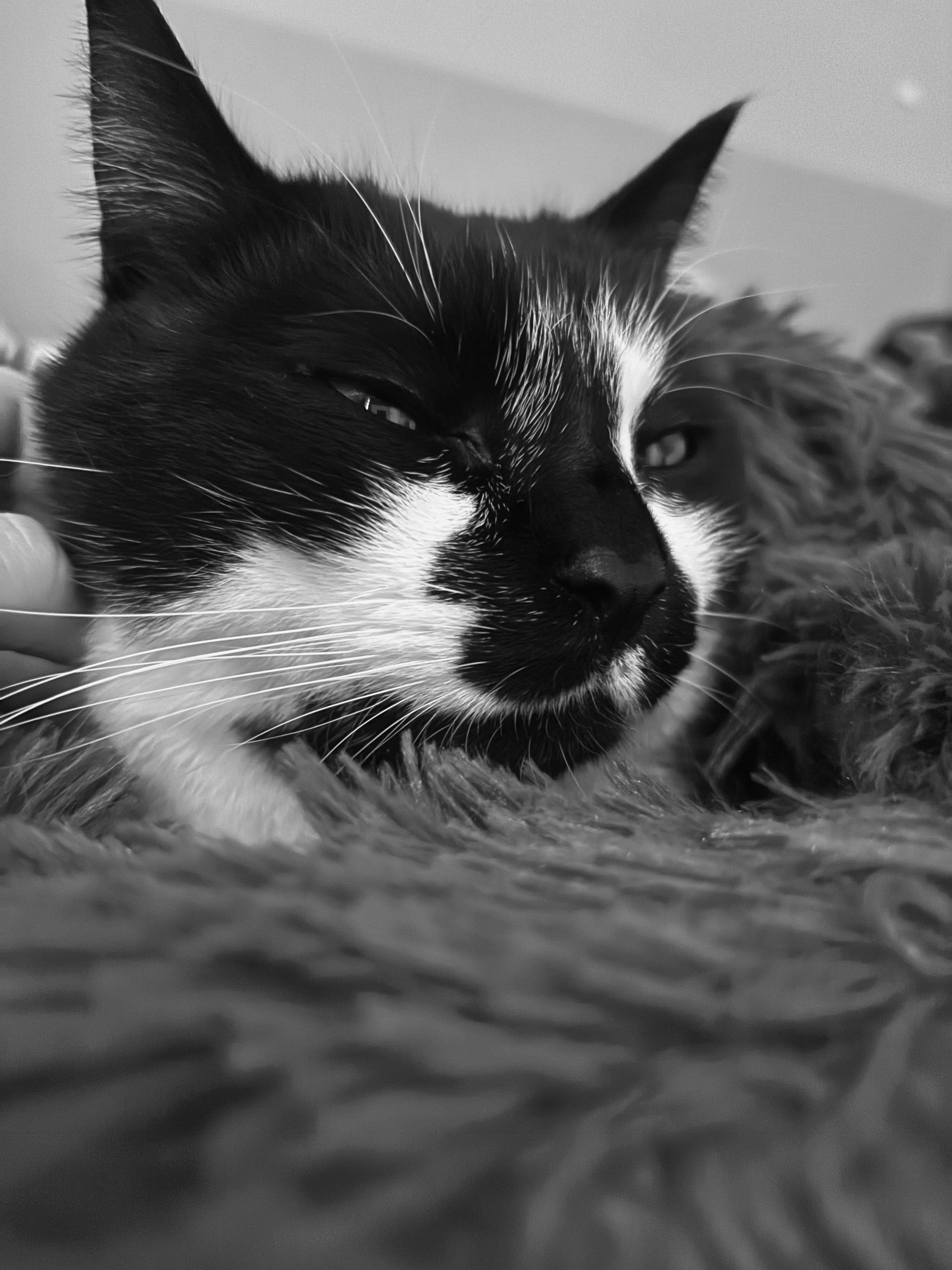 Foto de la comunidad número 294