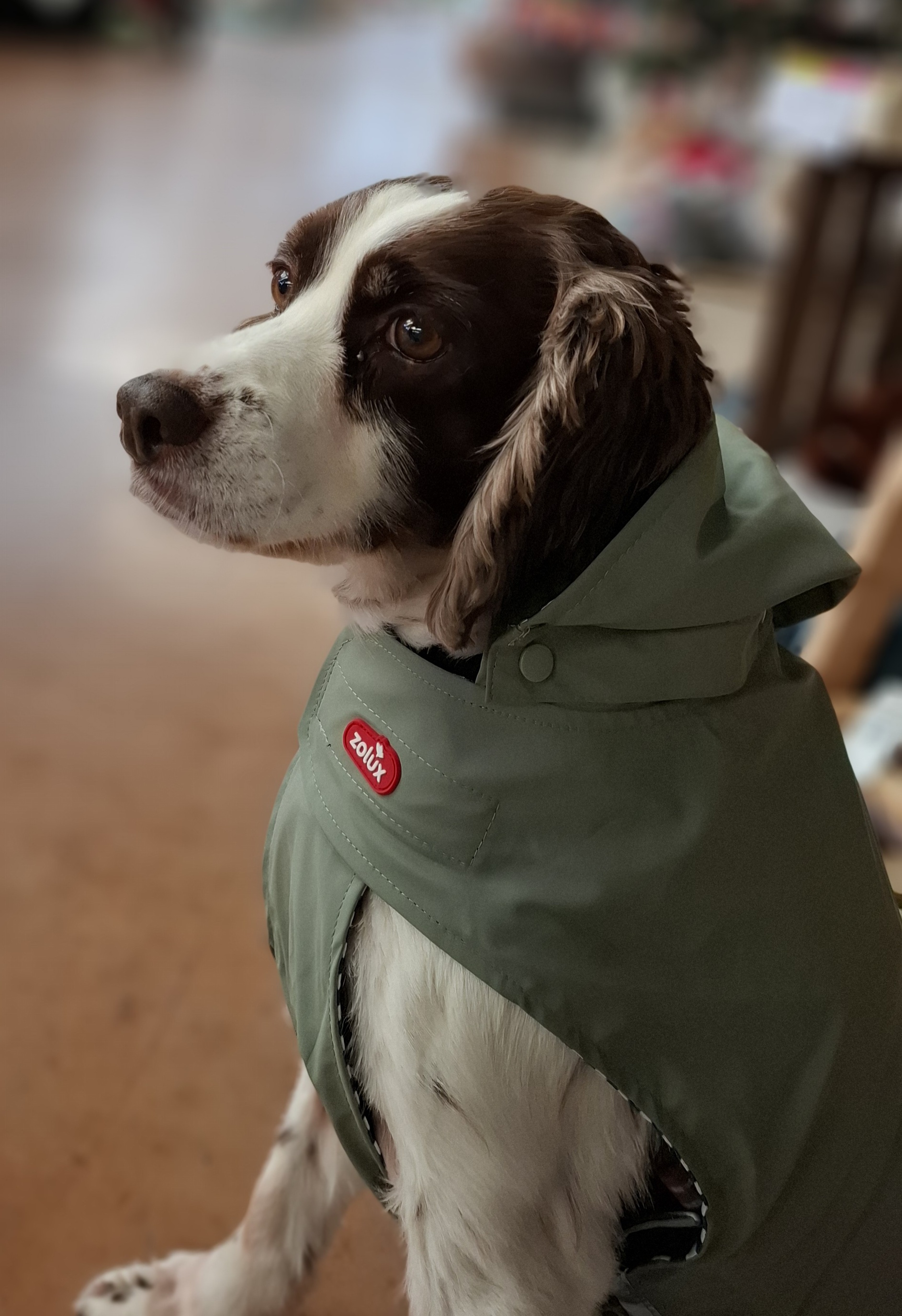 Foto de la comunidad número 307